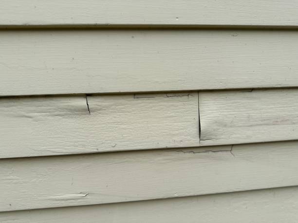 Best Siding Replacement  in USA